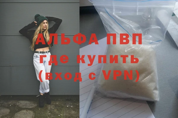 СК Алексин
