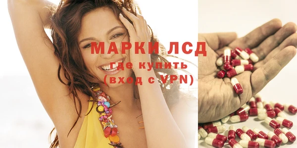 spice Алзамай
