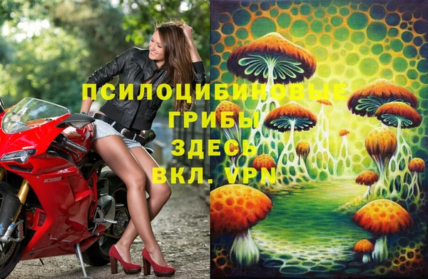 spice Алзамай