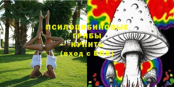 СК Алексин