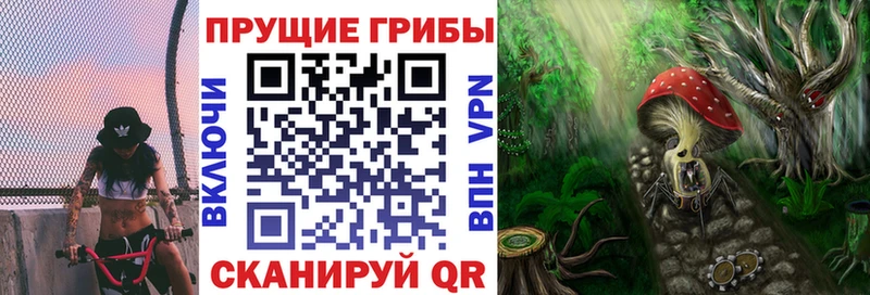 Галлюциногенные грибы Psilocybe  продажа наркотиков  KRAKEN ТОР  Кондопога 