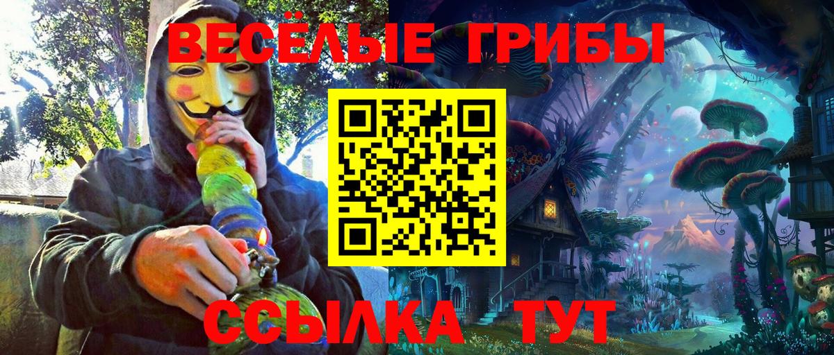 Кондопога  Галлюциногенные грибы мухоморы  Вход с VPN 