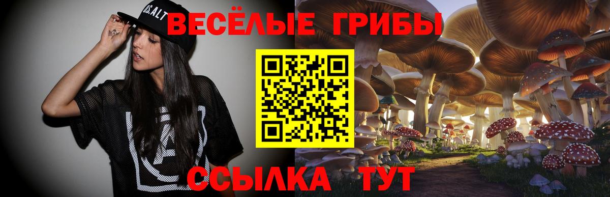 Псилоцибиновые грибы мухоморы Кондопога